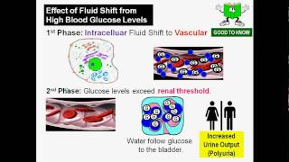 Diabetic Ketoacidosis Physiology DKA [upl. by Cerell443]