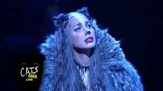 Cats Broadway Cast Performs LIVE Medley on GMA  Leona Lewis as Grizabella [upl. by Eanej]