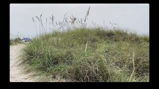 Sand Dunes at Cocoa Beach near Lori Wilson Park [upl. by Alema]