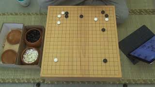 【特別企劃】Alphago Zero 有多強【第一集】2天就超越人類 40天讓5子 那87天就 [upl. by Faucher]