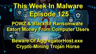 TWIM Ep125 Beware of POWZ amp BlackBit Ransomware amp AggregatorHostexe CryptoMining Malware [upl. by Hildagarde]