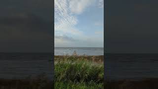 Beautiful morning at Candy Abshier Wildlife Management Area texascoast nature [upl. by Rhyner]