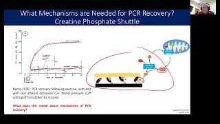 How is Phosphocreatine recovered [upl. by Sigler]