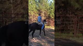 Just a little frustrated that’s all❤️ horse deltadawndunitt gentling bucking training mare [upl. by Zelde]