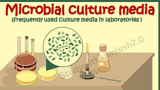 Culture Media [upl. by Tabbie]