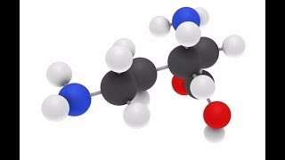 Ornithine  Liver Detox Nitrogen Ammonia Growth Hormone Fat Metabolism Immune System Muscle [upl. by Ellehcram]