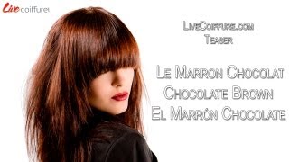 TEASER  Le Marron Chocolat  Chocolate Brown  El Marrón Chocolate  LiveCoiffurecom [upl. by Ixel]