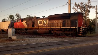 CN L518 passes through Laplace LA [upl. by Aprile]