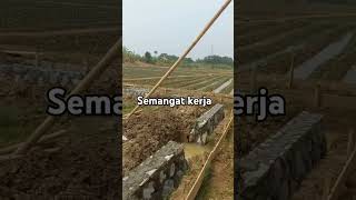 Semangat kerja videoshort shorts pejuangrupiah [upl. by Anneiv469]