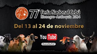 77° Feria Nacional Cebú Rionegro  Antioquia 2024  Día 3 [upl. by Anaud]