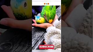 So Cute Parrot 🦜 Funny Moments 😂 funny parrrot bird shorts [upl. by Sakmar]