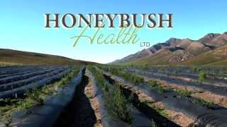 Honeybush Health [upl. by Yrellam997]