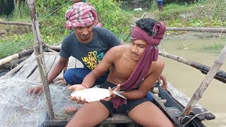 মহালয়ার সকালে আমাবস্যার কোটালে Big Size Elish 🐟 ।।। [upl. by Ruffin989]