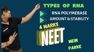 RNA amp its Types  Amount and stablilty of RNA  by MARTIN SIR from molecular basis of life [upl. by Breger894]