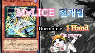 맬리스 전개법Dormouse 원핸드 [upl. by Anitirhc]