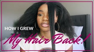 How I Grew My Hair Back [upl. by Etty]