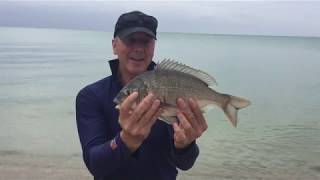 Dromana beach fishing for bream [upl. by Feola35]