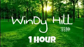 NHẠC WINDY HILL 1 HOUR TẦN SỐ THỊNH VƯỢNG MAY MẮN  HẠNH PHÚC THÀNH CÔNG TRONG CUỘC SỐNG shorts [upl. by Ennaear460]