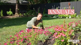 Heat Loving Annuals  Gardener in Love [upl. by Eilssel363]