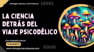 Hongos Alucinógenos y Psilocibina La Ciencia Detrás del Viaje Psicodélico Ep 63 [upl. by Yanahs121]