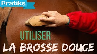 Equitation  Comment passer la brosse douce [upl. by Laurentia]