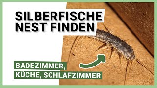 Silberfische Nest finden Badezimmer Küche und Schlafzimmer [upl. by Alitha]