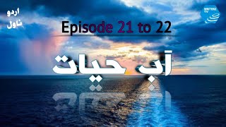 Aab e Hayat  Episode 21 To 22  Hindi Urdu Umera Ahmed Novel  Abe Hayat  Aab Hayat Novel  Aab [upl. by Lemuelah]