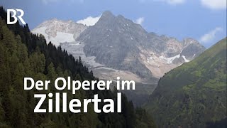 Der Olperer im Zillertal  BergaufBergab  Doku  Berge [upl. by Bronnie]