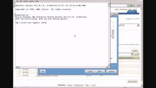 Oracle Hyperion Essbase V11 Installation and ConfigurationPart 4 [upl. by Edwyna861]