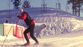 The Most Funniest Ski Fails Compilation [upl. by Marou]