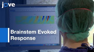 Brainstem Evoked Response Audiometry Analysis  Protocol Preview [upl. by Elihu]