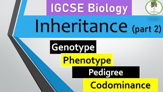 Inheritance part2 Genotype vs phenotype pedigree monohybrid cross Codominance IGCSE biology [upl. by Noraa]