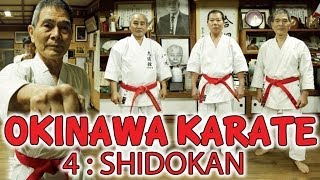 OKINAWA KARATE  SHORIN RYU  Shidokan  MDV Communication [upl. by Aerona675]