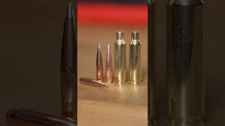 Hornady NEW 2025 Offerings in 25 caliber [upl. by Melli307]