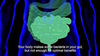 How Dr Mercolas Kinetic Culture Helps Improve Your Gut Flora [upl. by Asiluy]