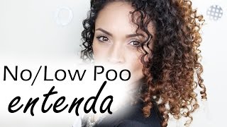 O que é No e Low Poo  Novidades Tô de Cacho por Fernanda Ferreira [upl. by Sisson127]