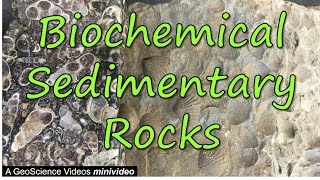 Biochemical Sedimentary Rocks [upl. by Dat]