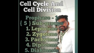 Meiosis 1  Prophase1  Leptotene  Zygotene  Pachytene  Diplotene  Diakinesis [upl. by Gaven]