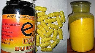 My Experience With DNP  The Most Dangerous Fat Burner On Earth [upl. by Eriha]