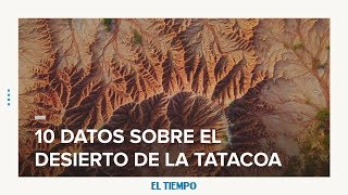 10 datos sobre el desierto de la Tatacoa  EL TIEMPO [upl. by Lladnik]