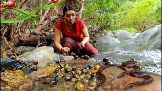 Pick a lot snail river amp catch ell for food Boiled snail spicy so delicious Cooking eel for dinner [upl. by Muir]