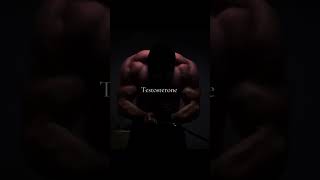 edit testosterone motivation testosteron gym ufc testone aesthetic testosteronelevel [upl. by Hunley]