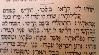 Tefilah 1 Hodu  Jewish Morning Prayer  Sharcharis  תפילה 1 הודו – שחרית [upl. by River59]