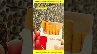 Testing fake Hollywood cigarttes😱 shorts Ytshorts Devendrapratap [upl. by Atram48]