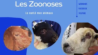 Webinaire 💻 Module Les Zoonoses 🗂️ La Listériose 🖍️ [upl. by Atla]