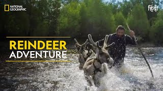 Reindeer Adventure  Primal Survivor  हिन्दी  Full Episode  S1  E3  National Geographic [upl. by Kelwunn]