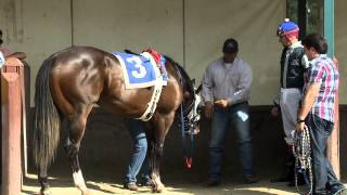 TVG Goes Inside Quarter Horses Most Iconic Race  All American [upl. by Rudich521]