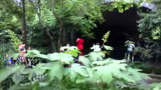 Drunk Guy dressed as Elmo goes crazy at Central Park Zoo [upl. by Pestana]