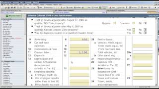 ProSeries Professional Tax Software Tracking Estimated Entries [upl. by Selyn]