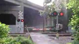 NJ TRANSIT PASSES OVER THE LEVEL CROSSING NEAR RADBURN Part 2 [upl. by Stulin778]